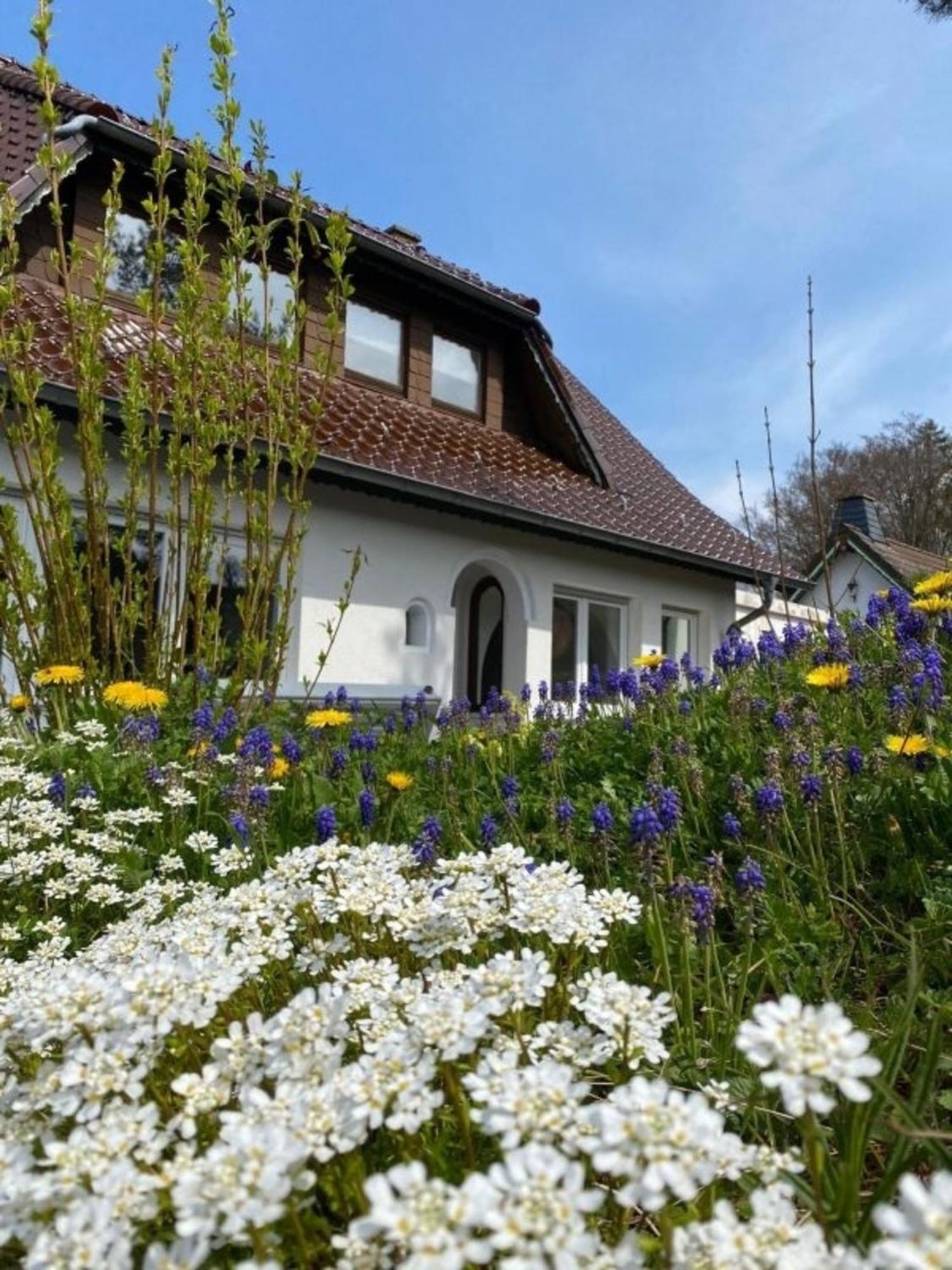 Ferienwohnung Eifelglück Pelm Exterior foto